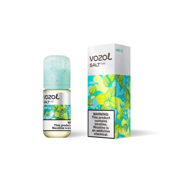 سالت نعناع یخ وزول VOZOL MINT ICE